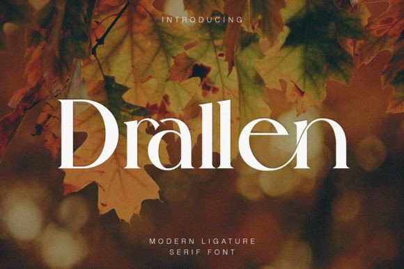 Drallen: A Serif Font That Elevates Your Brand