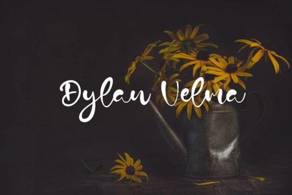 Dylan Velma: A Playful Script Font for Web Design