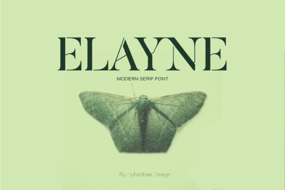 Elayne Serif Font for Modern Web Design