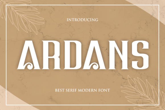 How Ardans Transformed My Brand’s Visual Identity
