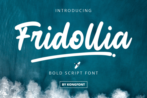 How Fridollia Transformed My Brand’s Visual Identity